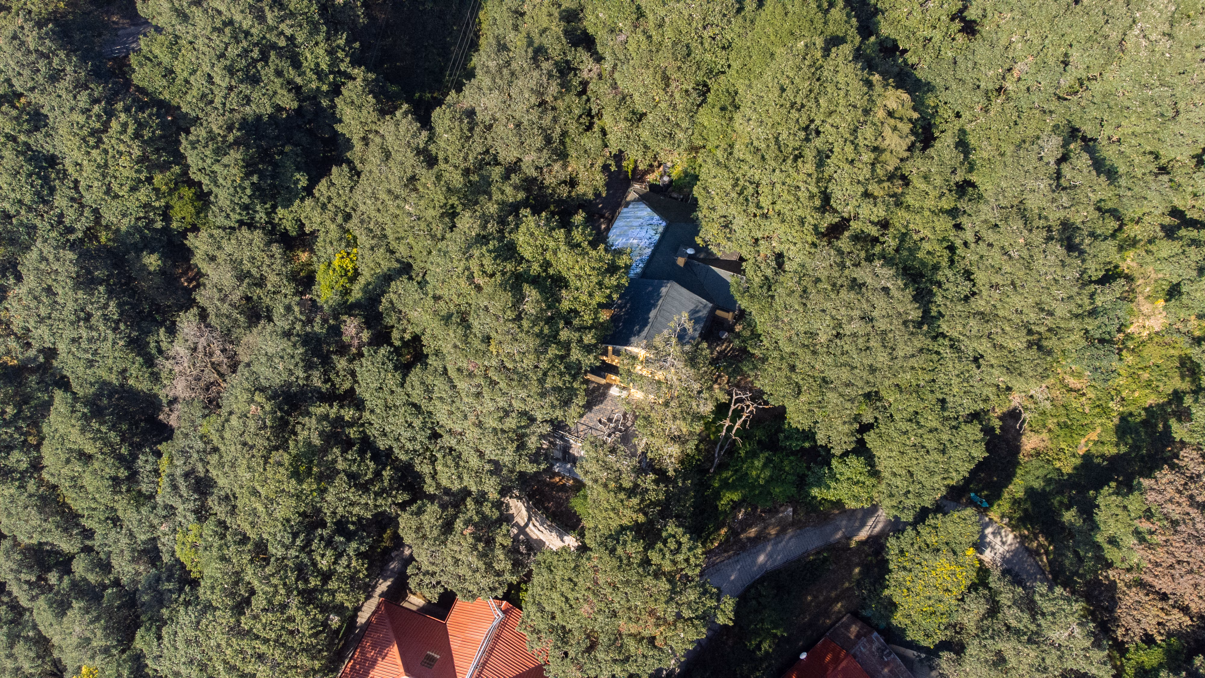 The Charming Cottage ~ A Timeless Heritage Retreat Amid Landour’s Deodars — photograph 34