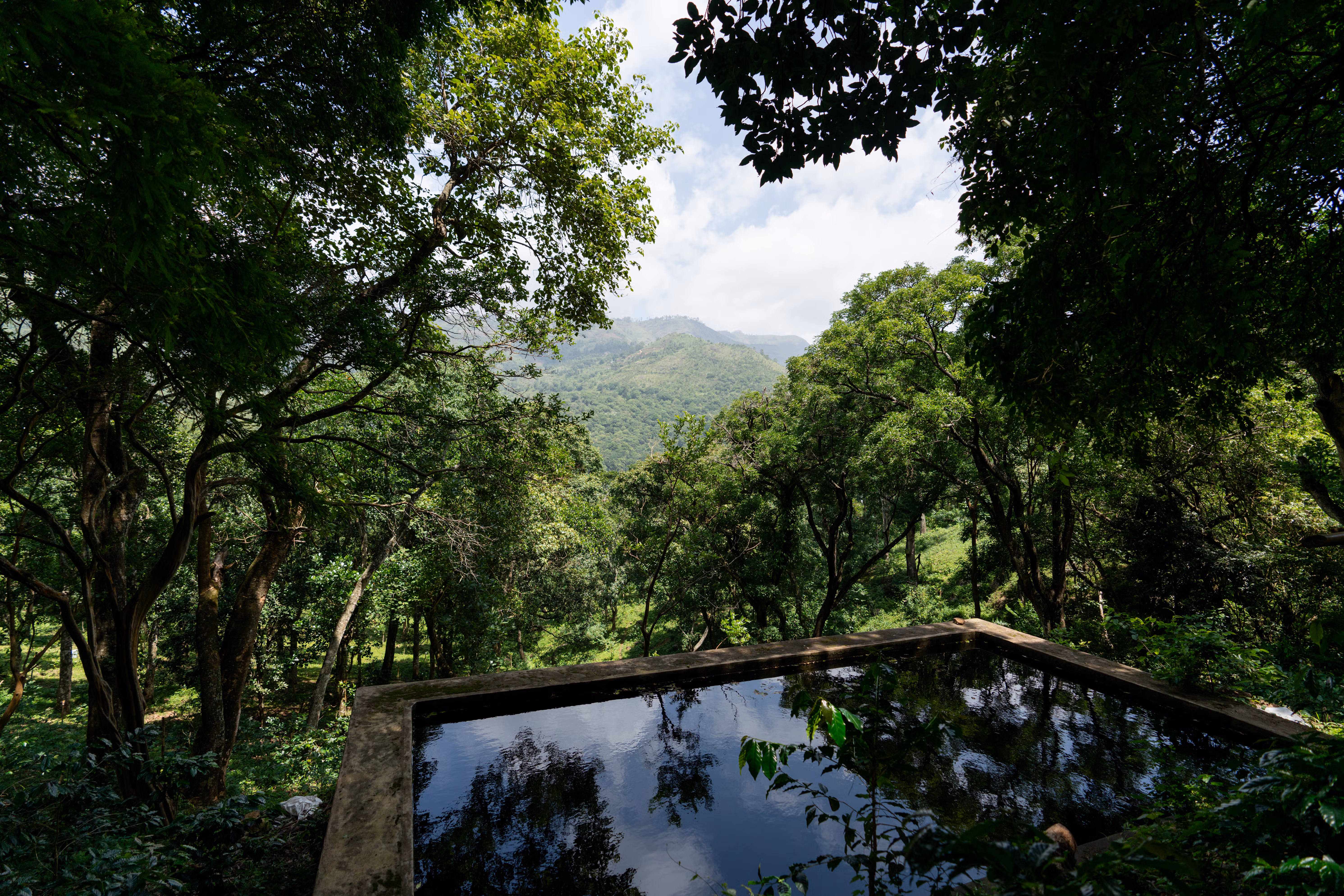 Nandanvan Estate ~ A Serene Coffee Plantation Retreat near Kodaikanal — photograph 36