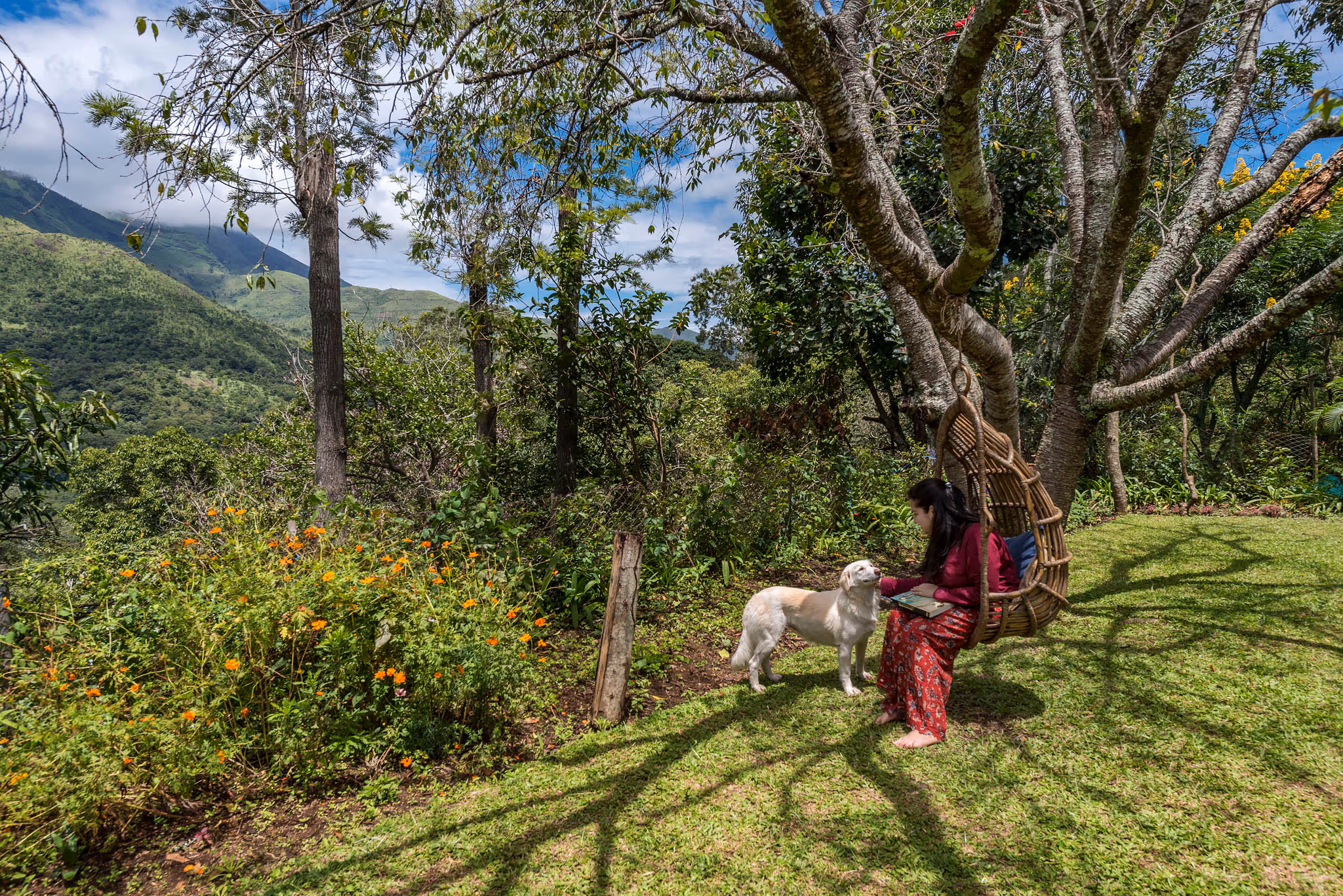 Nandanvan Estate ~ A Serene Coffee Plantation Retreat near Kodaikanal — photograph 6
